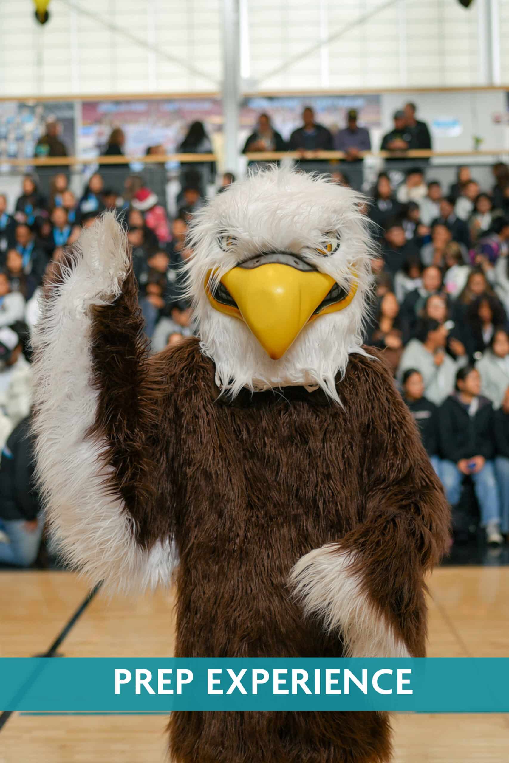 EagleWave02